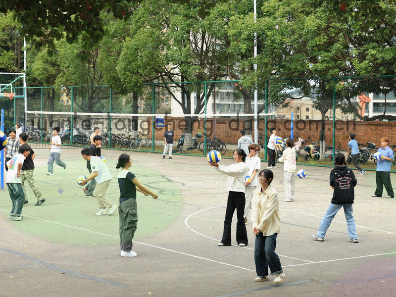 两组横向标签条交叉重叠，其中一个交点被细线高亮标出